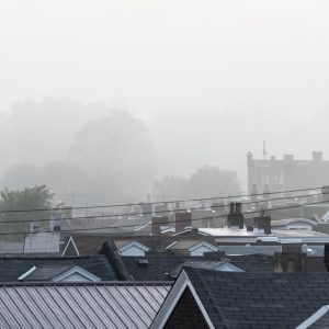 Foggy Roofs